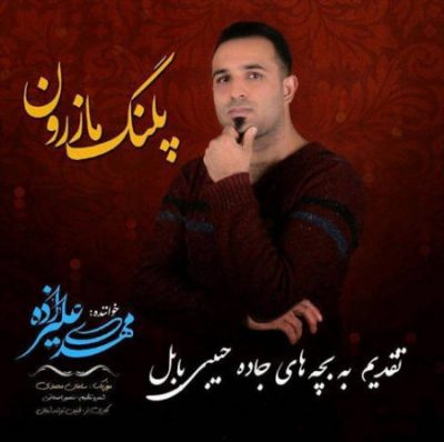 مهدی علیزاده پلنگ مازرون