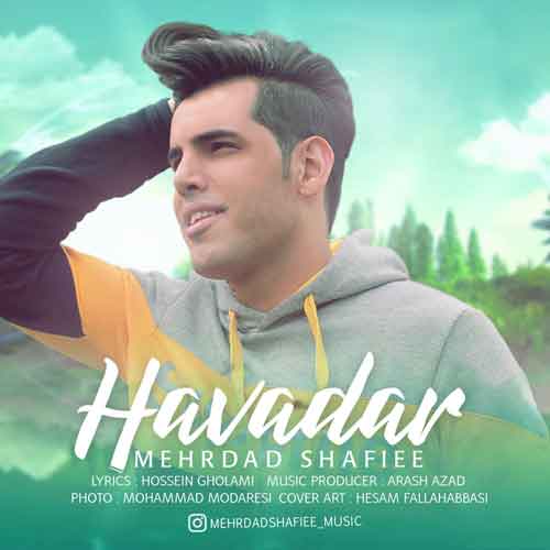 مهرداد شفیعی هوادار