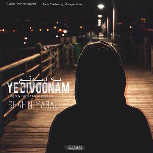 شاهین یارعلی یه دیوونم