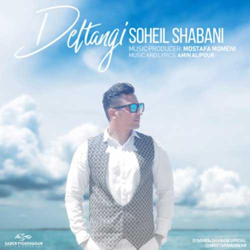 سهیل شعبانی دلتنگی