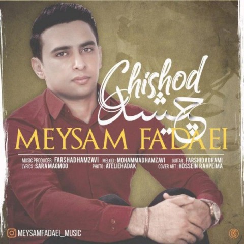 میثم فدایی چی شد