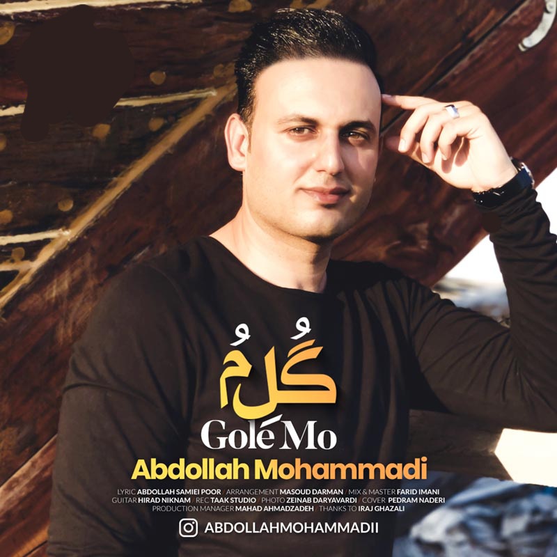 عبدالله محمدی گل مو