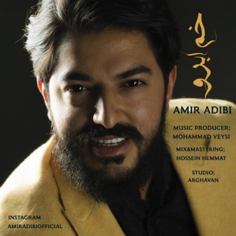 امیر ادیبی خم ابرو