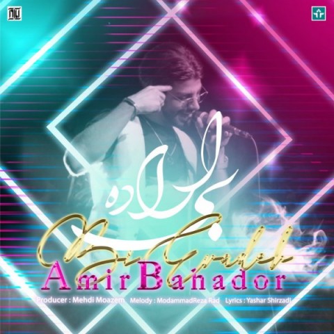 امیربهادر مهاجرانی بی اراده