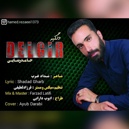 حامد رضایی دلگیر