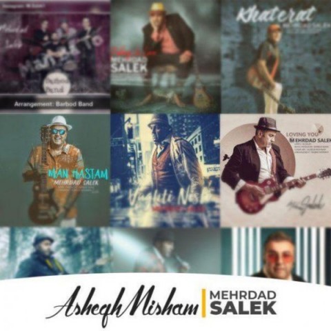 مهرداد سالک عاشق میشم