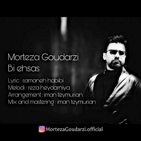 مرتضی گودرزی بی احساس