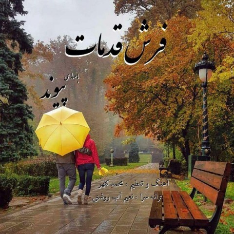 پیوند فرش قدمات