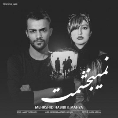 مهرشید حبیبی نمیبخشمت