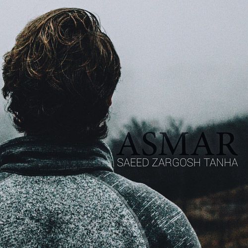 سعید زرگوش تنها ئهسمهر