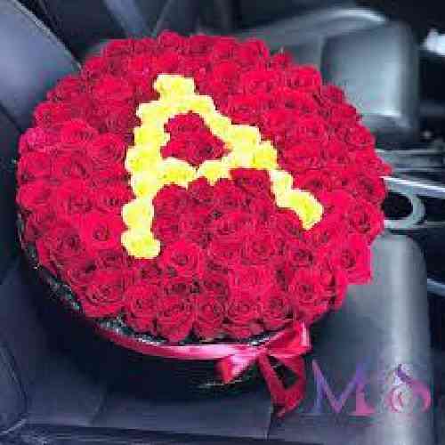  ببخشش که پشیمونه پشیمونه پشیمون