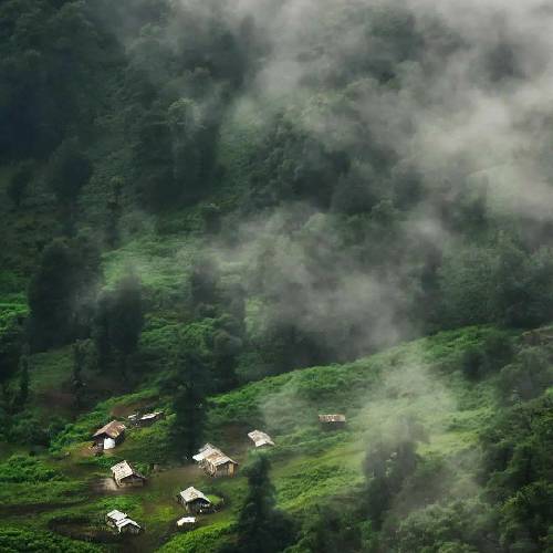 با گیتار قشنگی سی قشنگیت همه موون هومالت