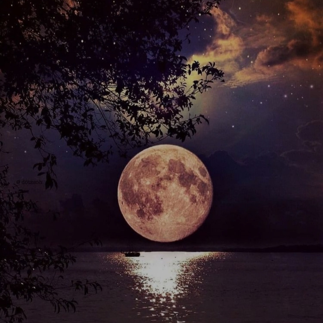 عجب قد بلندی داره دادش چرا رفتی شدیم ما خانمان سوز