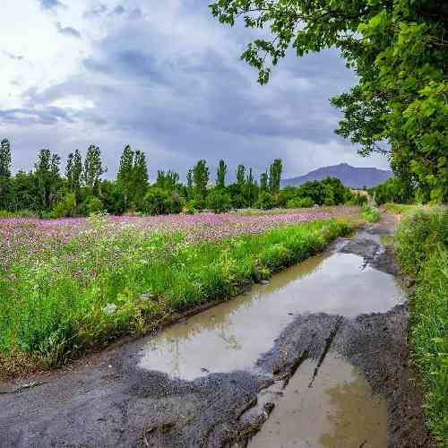  بخندیم و بخونی بدونیم که امشب شب عشقه