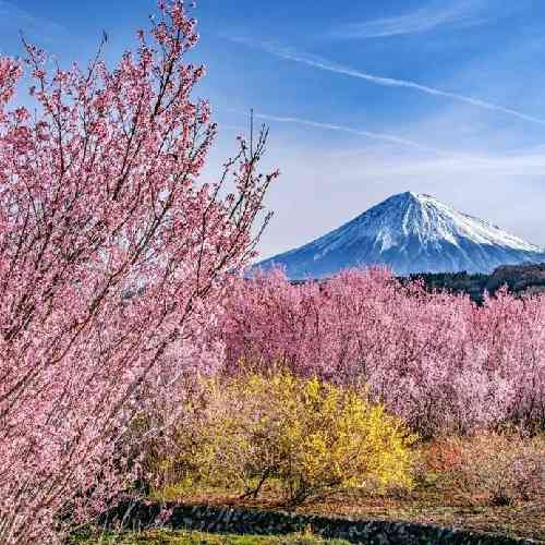 هرکی داره یه داداش قدرشو خوب بدونه