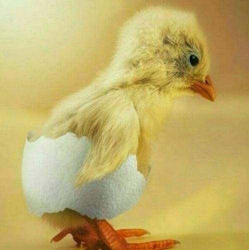  بذا همه بدونن که چقد حالیته نماز ما قضا‌نشده ماسیده