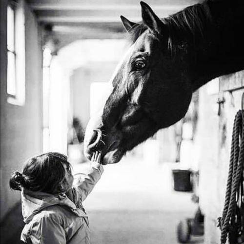 امیر قزوینی جوونیم رفت تا تو پرکشیدی