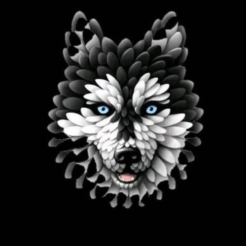 فرشاد میرانی قسمت