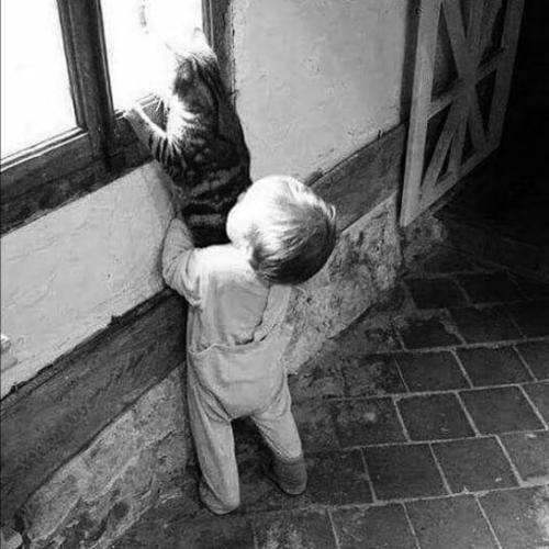 مهراب کل اتاقا رو یه رنگ تاریک میزنم