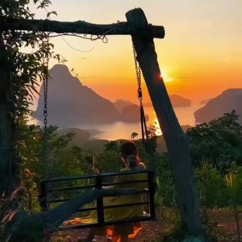 اوغول جان گوک دارکنس