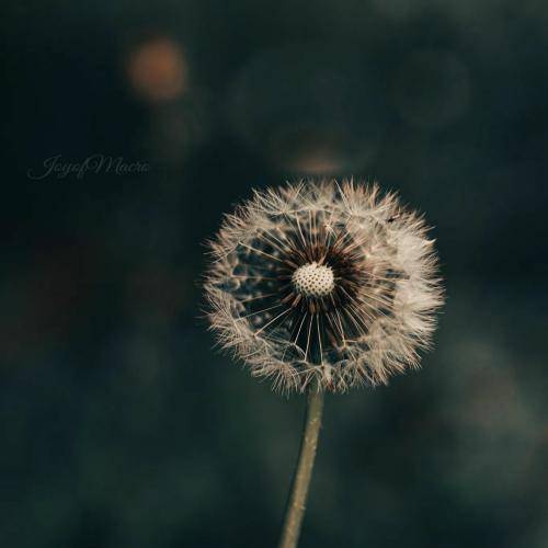  دلا شدن شبی قفلا دونه‌های برف شبی قرصا