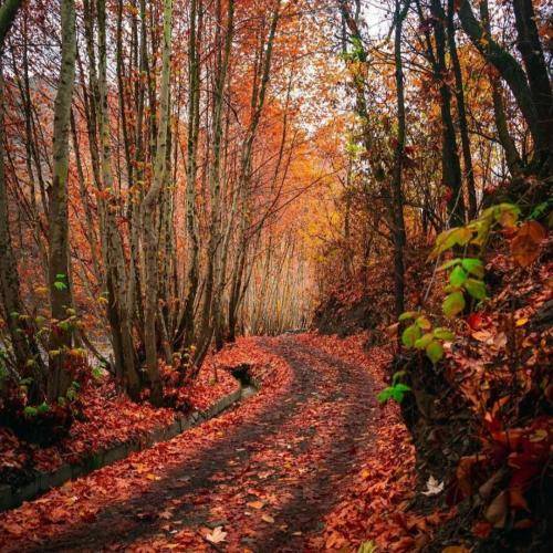 سجاد لکزایی منو گذاشت تو انتظار میتونست بمونه