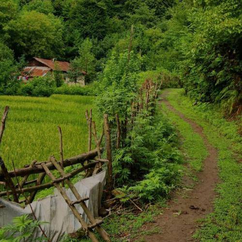 مجید بیرانوند دلم هالاتو عزیزم یار نازارم