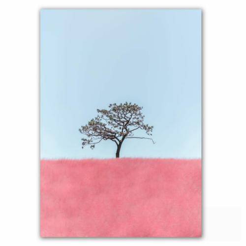 چوپی فتاح تو