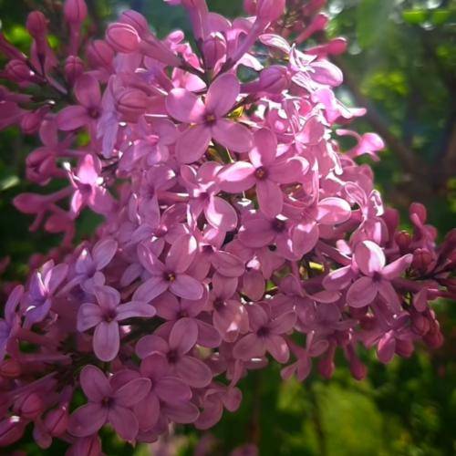  بد خواهم تکلیف معلوم اون می گذره ما که بنده