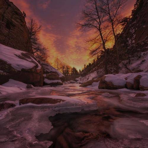 علی باقری کربلا