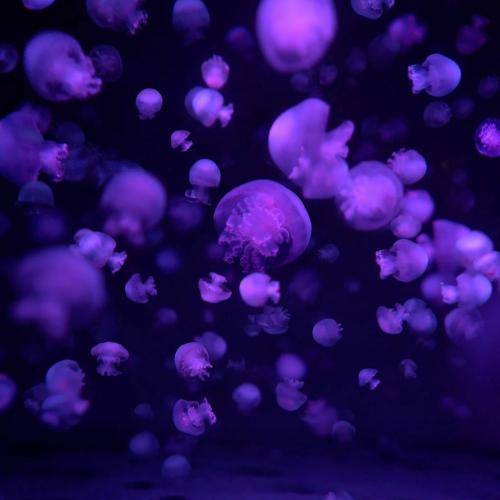  بعضی وقتا میبینی تنها چیزی که باختی نه عشقته نه پولته خودتی