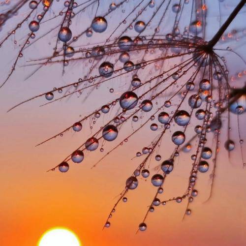  دیدیم هیچی سر جاش نی اجبارا شدیم شبی گرگا