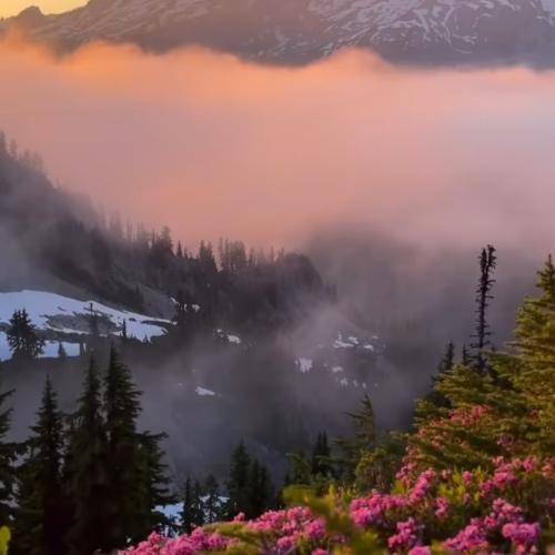 علی آسیایی رسوای عالم