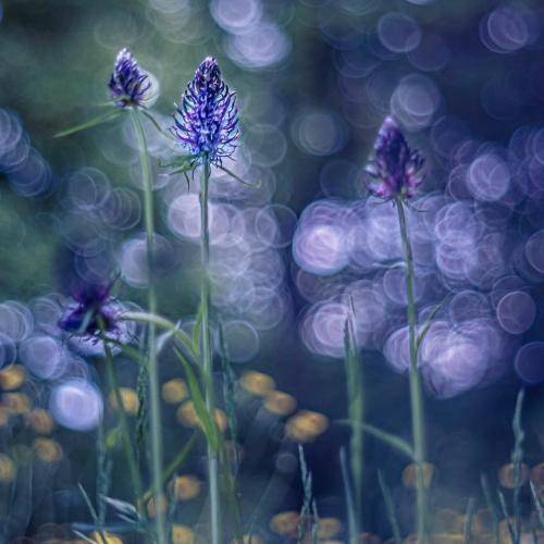  مودم الان آفلاینه گوشی روی سایلنت