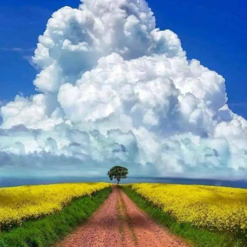 مجید بیرانوند آگر بگری