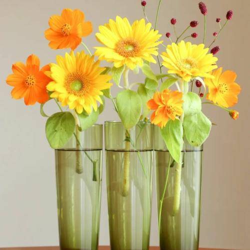 بیتا وای هم اتاقی رفیقو ساقی