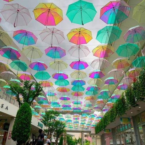  حس میکنی رسیدی تهش تموم خوابایی که دیدی پشم