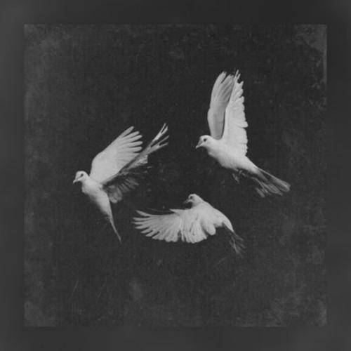 علی سورنا قصه ی من