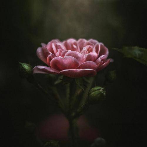 رامین مهری من مازرونیمه