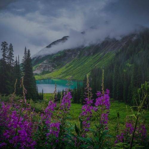 مجید بیرانوند مه تو دوس دیرم