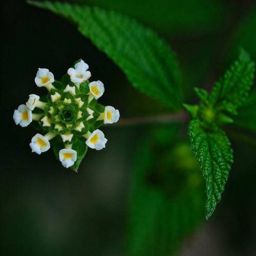 قصه ی من قصه ی شب فریاد درون حس یه درد