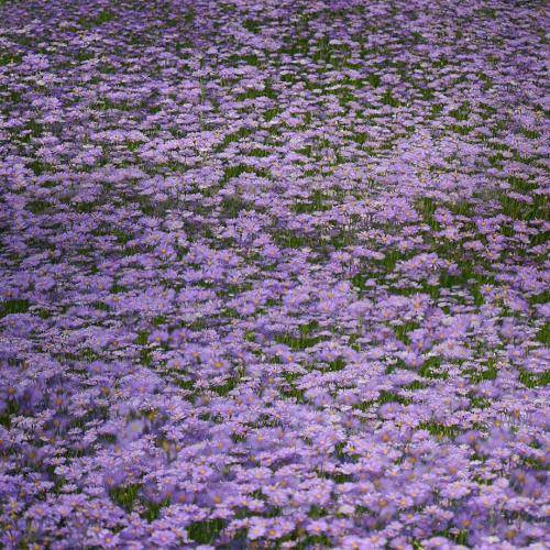  بسه هرچی جفتک زدیم ریسکم بکن عاقلانه