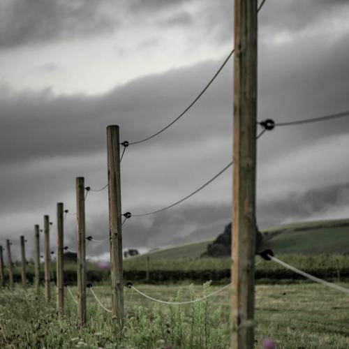  خودم باید دقت می کردم تو انتخابم