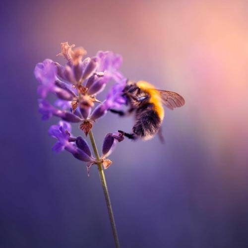  عشقشو داشتم شر باشم من هروئین کشیدم دعوا کردم