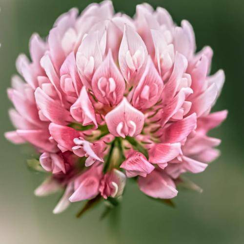 امین ملاها کابوسه شبام خنده ی فیکه رو لبام