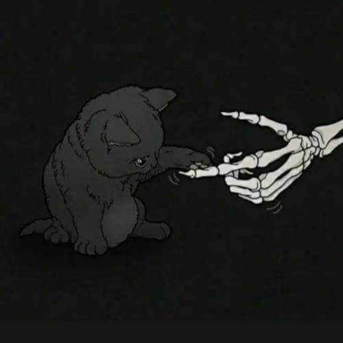  وقتی یخ میزد دستام کجا بود دستت قلب میداد واسه هر کی میزد