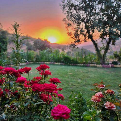  من تو ترکم خیلی وقته لقه منفی فاز خنده