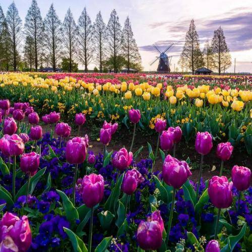 قصم مثل فرهاد بود ولی هیچ کجا شیرین نبود