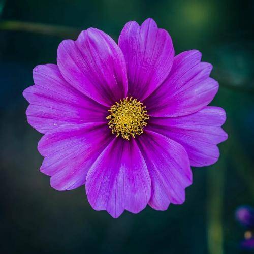 حسین جوان گفتم خراب تو میشم گفتی تو آبادی مگر