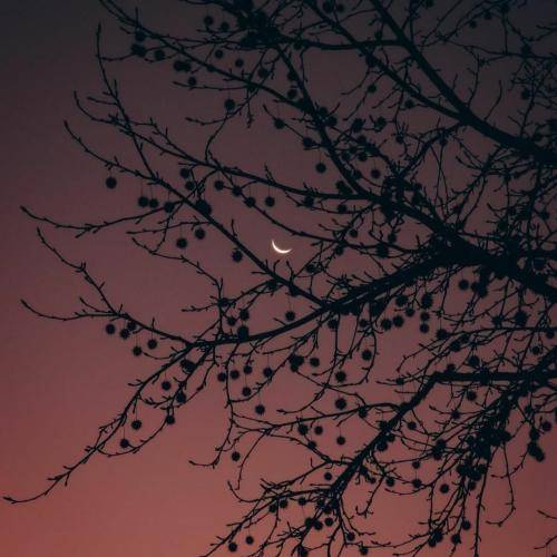 مصطفی عبدالله زاده میزنم پیک رو پیک بره بالا سرخوشی